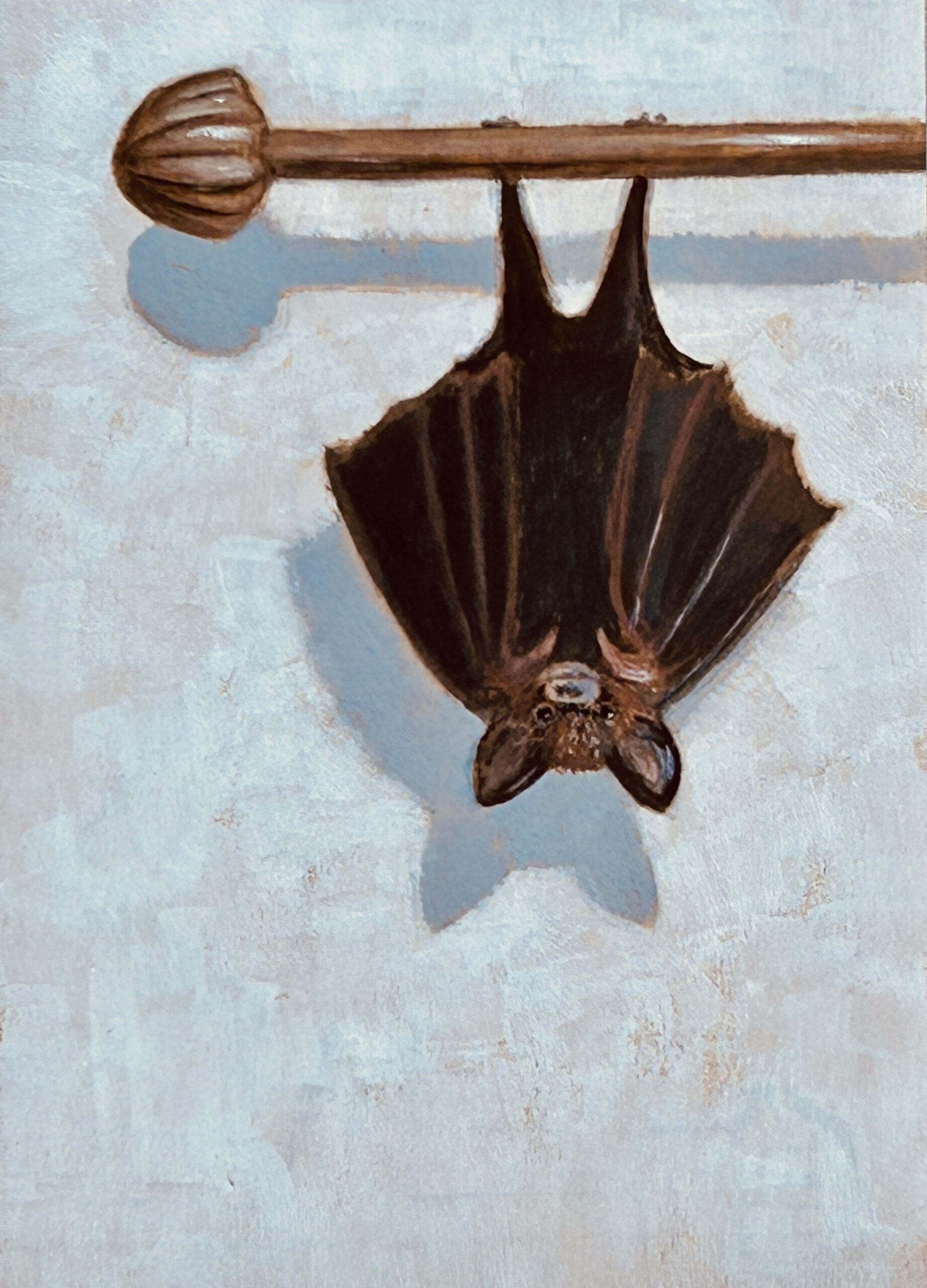 Bat, Thinking__Acrylic_5 x 7_ 2024